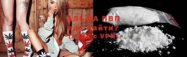 ПСИЛОЦИБИНОВЫЕ ГРИБЫ Верея