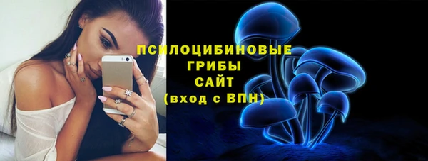 ПСИЛОЦИБИНОВЫЕ ГРИБЫ Верея