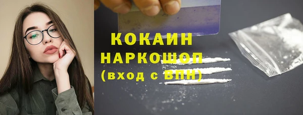 ПСИЛОЦИБИНОВЫЕ ГРИБЫ Верея