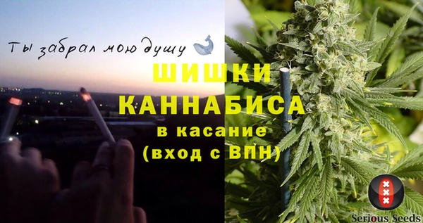 ПСИЛОЦИБИНОВЫЕ ГРИБЫ Верея