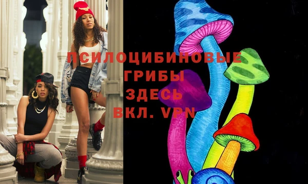ПСИЛОЦИБИНОВЫЕ ГРИБЫ Верея