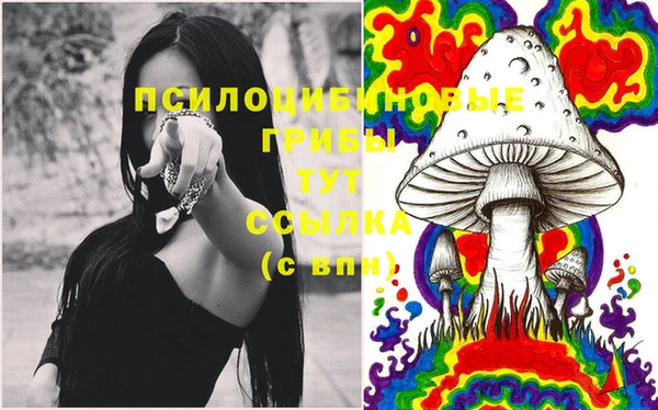 СК Верхний Тагил