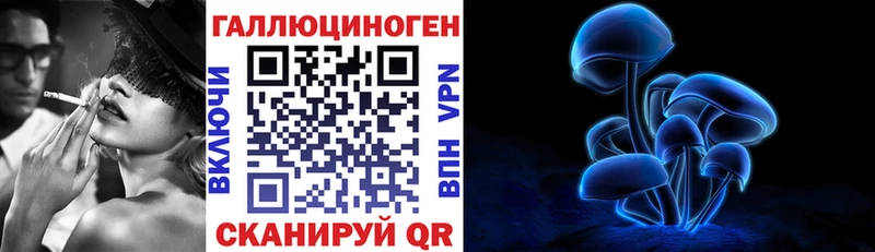 как найти   Благовещенск  Псилоцибиновые грибы Cubensis 